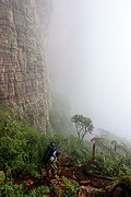 Tepuy Roraima, Parque Nacional Canaima, Venezuela