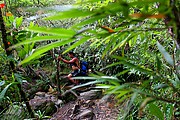 Tepuy Roraima, Parque Nacional Canaima, Venezuela