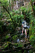 Tepuy Roraima, Parque Nacional Canaima, Venezuela