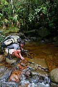 Tepuy Roraima, Parque Nacional Canaima, Venezuela