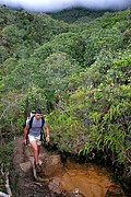 Tepuy Roraima, Parque Nacional Canaima, Venezuela