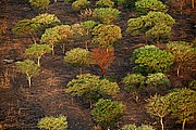 Parque Nacional de Zakouma, Parque Nacional de Zakouma, Chad