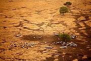 Parque Nacional de Zakouma, Parque Nacional de Zakouma, Chad