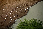 Parque Nacional de Zakouma, Parque Nacional de Zakouma, Chad