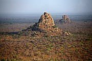 Ibir, Parque Nacional de Zakouma, Chad