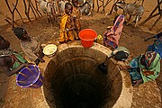 Ibir, Parque Nacional de Zakouma, Chad