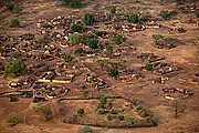 Ibir, Parque Nacional de Zakouma, Chad