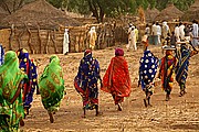 Ibir, Parque Nacional de Zakouma, Chad