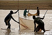 Gara, Parque Nacional de Zakouma, Chad