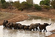 Parque Nacional de Zakouma, Parque Nacional de Zakouma, Chad