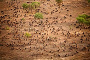 Parque Nacional de Zakouma, Parque Nacional de Zakouma, Chad