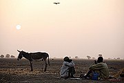 Gara, Parque Nacional de Zakouma, Chad