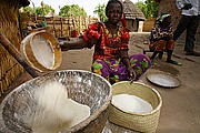 Ibir, Parque Nacional de Zakouma, Chad