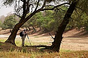 Parque Nacional de Zakouma, Parque Nacional de Zakouma, Chad