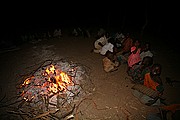 Ibir, Parque Nacional de Zakouma, Chad