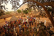 Ibir, Parque Nacional de Zakouma, Chad
