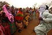 Ibir, Parque Nacional de Zakouma, Chad