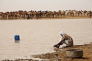 Gara, Parque Nacional de Zakouma, Chad