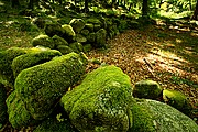 Serra do Xures, Parque Natural Baixa Limia, España