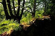 Serra do Xures, Parque Natural Baixa Limia, España