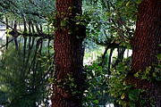 Serra do Xures, Parque Natural Baixa Limia, España