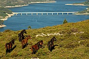 Serra do Xures, Parque Natural Baixa Limia, España