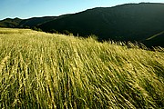 Serra do Xures, Parque Natural Baixa Limia, España