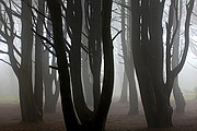 Parque Natural Sierra de Sintra, Sintra, Portugal