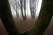 Parque Natural Sierra de Sintra, Sintra, Portugal