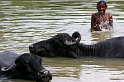 Rio Yamuna, Agra, India