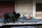 Varanasi, Varanasi, India