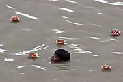 Rio Ganges, Varanasi, India