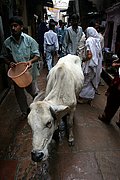 Varanasi, Varanasi, India