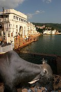 Pushkar, Pushkar, India