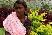 Ranakpur, Ranakpur, India