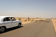 Jaisalmer, Jaisalmer, India