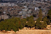 Jerash, Jerash, Jordania