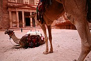 El Tesoro, Petra, Jordania