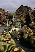 Jardin de Cactus, Lanzarote, España