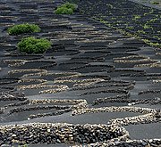 La Geria, Lanzarote, España