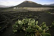 La Geria, Lanzarote, España