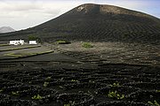 La Geria, Lanzarote, España