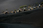 Parque Nacional del Timanfaya, Lanzarote, España