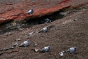 Parque Nacional del Timanfaya, Lanzarote, España