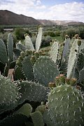 Gran Atlas, Gran Atlas, Marruecos