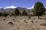 Gran Atlas, Gran Atlas, Marruecos