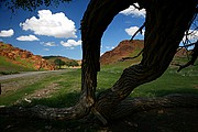 Bayanzag, Bayanzag, Mongolia