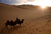 Desierto del Gobi, Desierto del Gobi, Mongolia