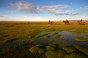 Desierto del Gobi, Desierto del Gobi, Mongolia