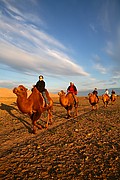 Desierto del Gobi, Desierto del Gobi, Mongolia